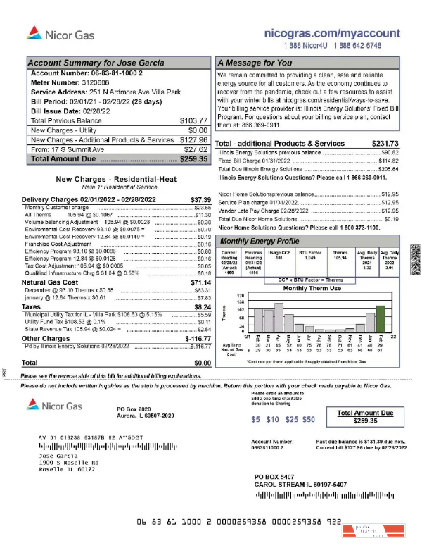 USA NICOR GAS utility bill Word and PDF template